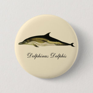 Bóton Redondo 5.08cm Delphinus Delphis do golfinho do vintage,
