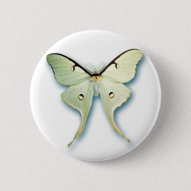 Bóton Redondo 5.08cm Design branco bonito da borboleta (Frente)