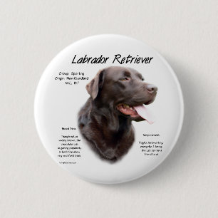 Bóton Redondo 5.08cm Design de História do Labrador Retriever (chocolat