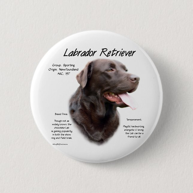 Bóton Redondo 5.08cm Design de História do Labrador Retriever (chocolat (Frente)