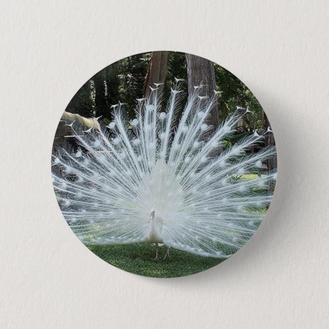 Bóton Redondo 5.08cm Divertimento superior de Skully (Frente)