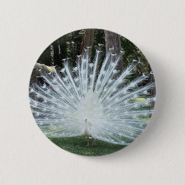 Bóton Redondo 5.08cm Divertimento superior de Skully