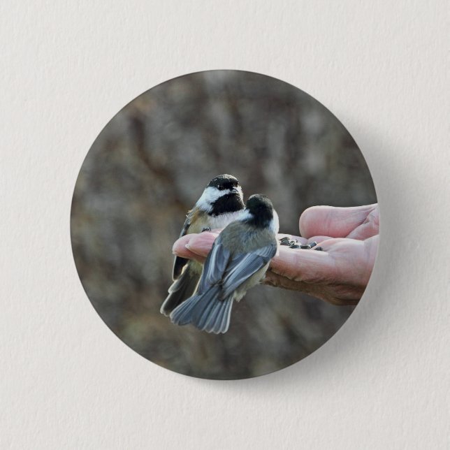 Bóton Redondo 5.08cm Dois Chickadees em uma mão (Frente)