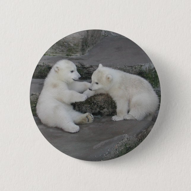 Bóton Redondo 5.08cm Dois Cubos de Urso Polar (Frente)