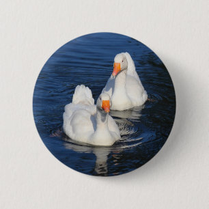 Bóton Redondo 5.08cm Dois Emden Geese II