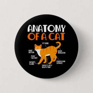 Bóton Redondo 5.08cm Dono de Gato Tabby Engraçado Anatomia de um Gato