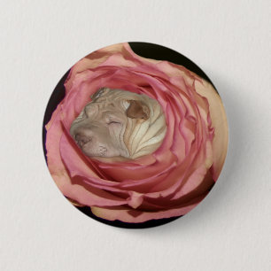 Bóton Redondo 5.08cm Dormir em um rosa pálido aumentou, cão de Shar P