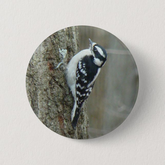 Bóton Redondo 5.08cm Downy Woodpecker Items (Frente)