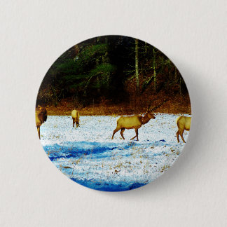 BÓTON REDONDO 5.08CM DSC00131.JPG