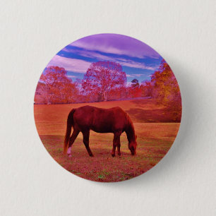 BÓTON REDONDO 5.08CM DSCF0536.JPG