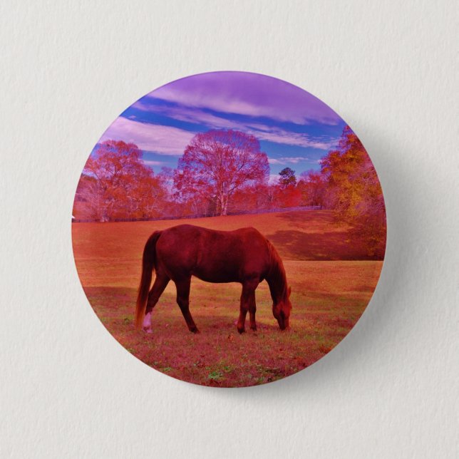 BÓTON REDONDO 5.08CM DSCF0536.JPG (Frente)