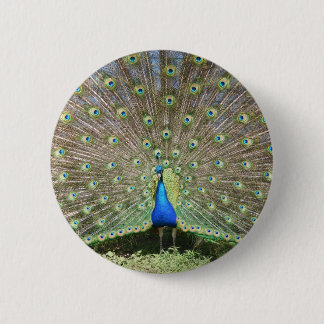 BÓTON REDONDO 5.08CM DSCF1062