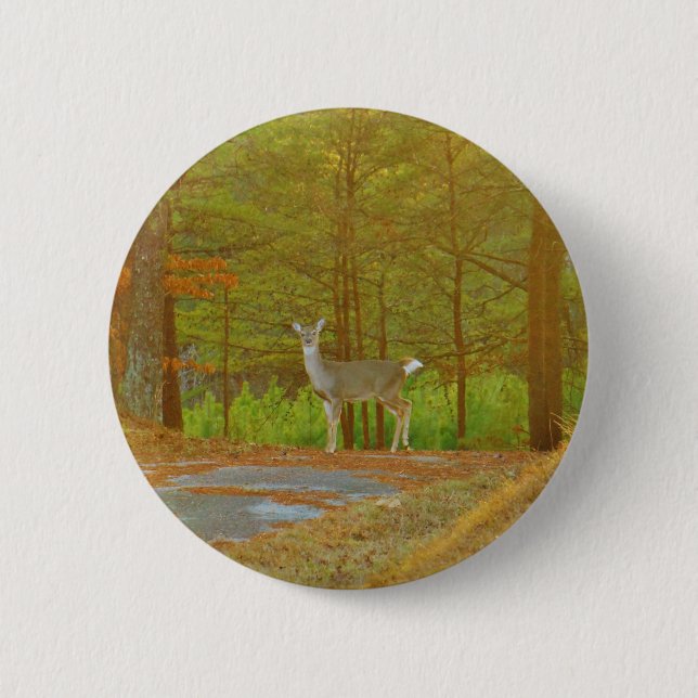 BÓTON REDONDO 5.08CM DSCF4041.JPG (Frente)