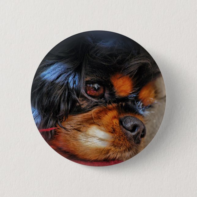 BÓTON REDONDO 5.08CM É UMA VIDA DURA ....... (Frente)