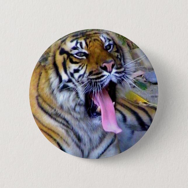 Bóton Redondo 5.08cm Ei! (Frente)