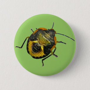 Bóton Redondo 5.08cm Elementos de coordenação das ninfas do Inseto de F