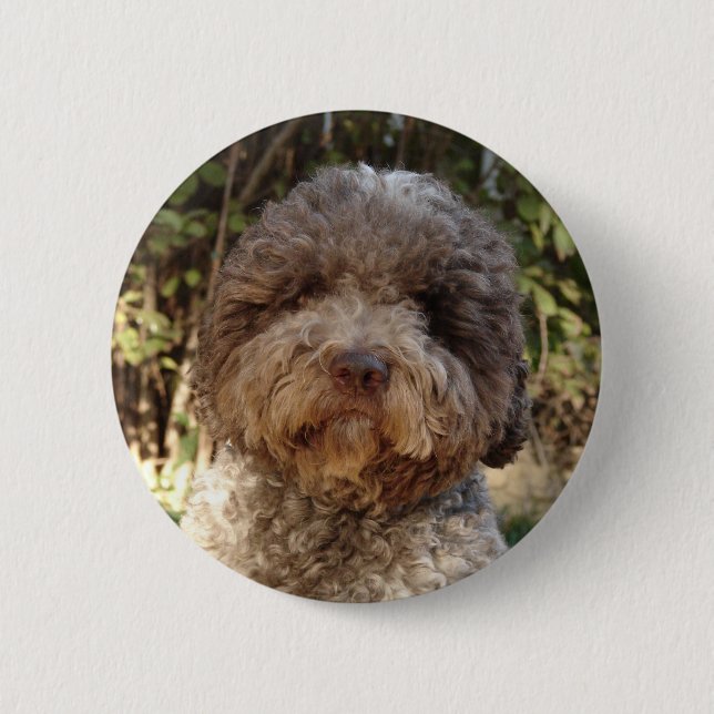 Bóton Redondo 5.08cm emblema lagotto-romagnolo (Frente)