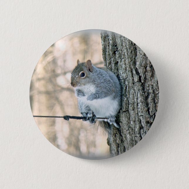 Bóton Redondo 5.08cm Esquilo cinza - Sciurus carolinensis (Frente)