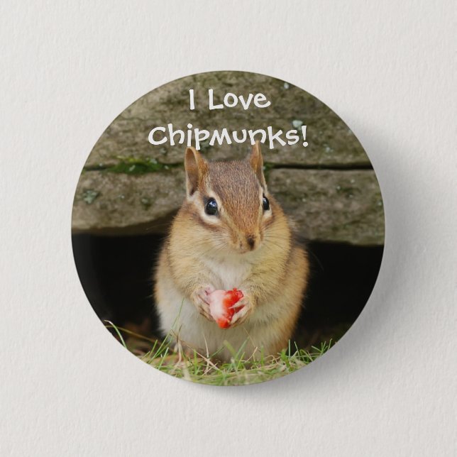 Bóton Redondo 5.08cm Eu amo chipmunks! (Frente)