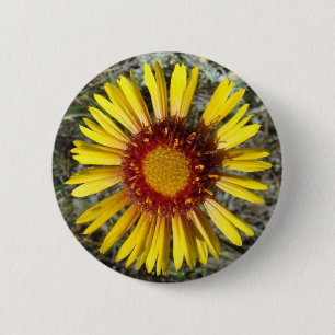 Bóton Redondo 5.08cm F1 Flor Amarela Selvagem Gaillardia
