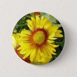 Bóton Redondo 5.08cm F6 Flor Amarela Selvagem Gaillardia