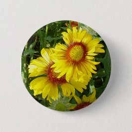 Bóton Redondo 5.08cm F6 Flores Silvestres Amarelas Gaillardia