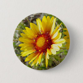 Bóton Redondo 5.08cm F8 Amarelas Flores Silvestres Gaillardia