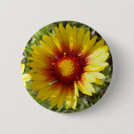 Bóton Redondo 5.08cm F8 Amarelas Flores Silvestres Gaillardia
