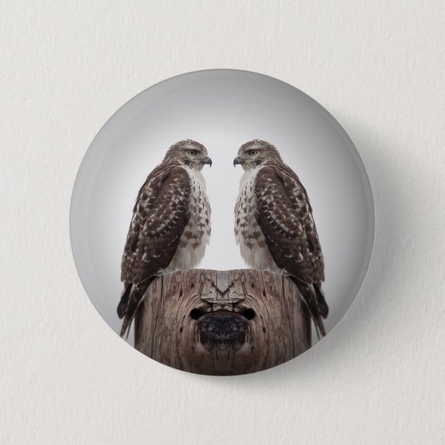 Bóton Redondo 5.08cm Falcões em um cargo (Frente)