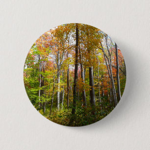 Bóton Redondo 5.08cm Fall Forest I Autumn Landscape Photoshop