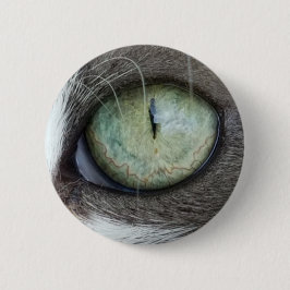 Bóton Redondo 5.08cm Feche acima do olho de gato