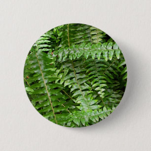 Bóton Redondo 5.08cm Fern Frontes I Green Nature