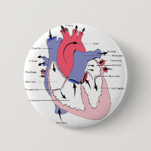 Bóton Redondo 5.08cm Figura 2. coração Function.jpg do Normal