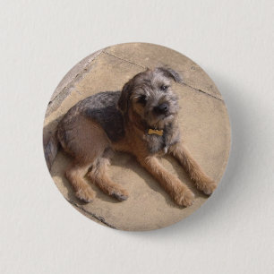 Bóton Redondo 5.08cm Filhote de cachorro de Terrier de beira