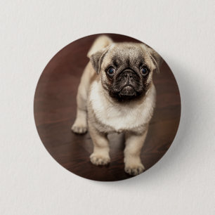 Bóton Redondo 5.08cm Filhote de cachorro do Pug