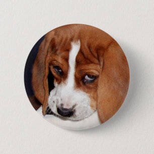 Bóton Redondo 5.08cm Filhote de cachorro enrugado