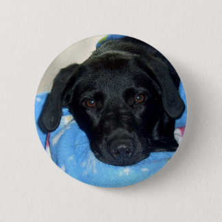 Bóton Redondo 5.08cm Filhote de cachorro preto do laboratório