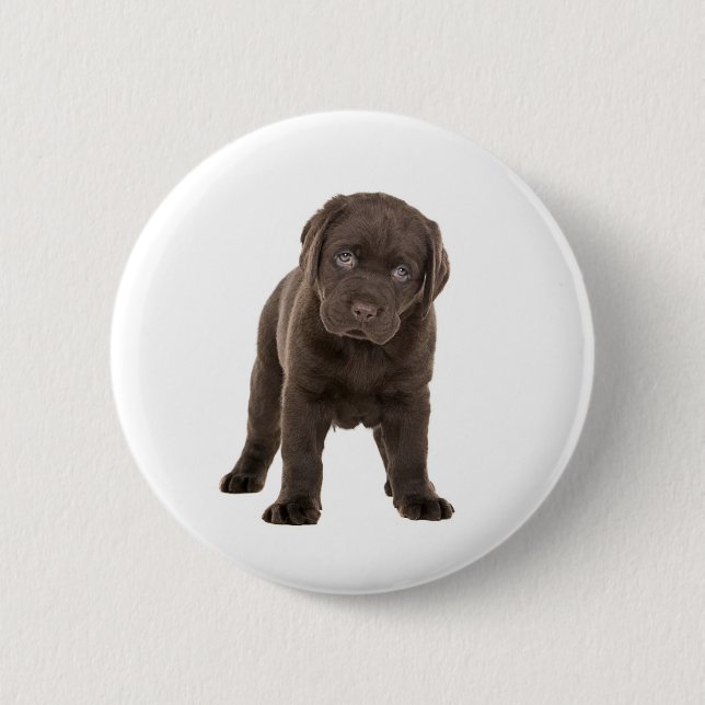 Bóton Redondo 5.08cm Filhote de cachorro robusto de Labrador do (Frente)
