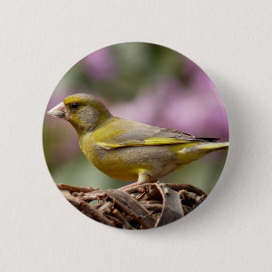 Bóton Redondo 5.08cm Finch Verde