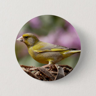 Bóton Redondo 5.08cm Finch Verde
