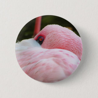 Bóton Redondo 5.08cm Flamingo