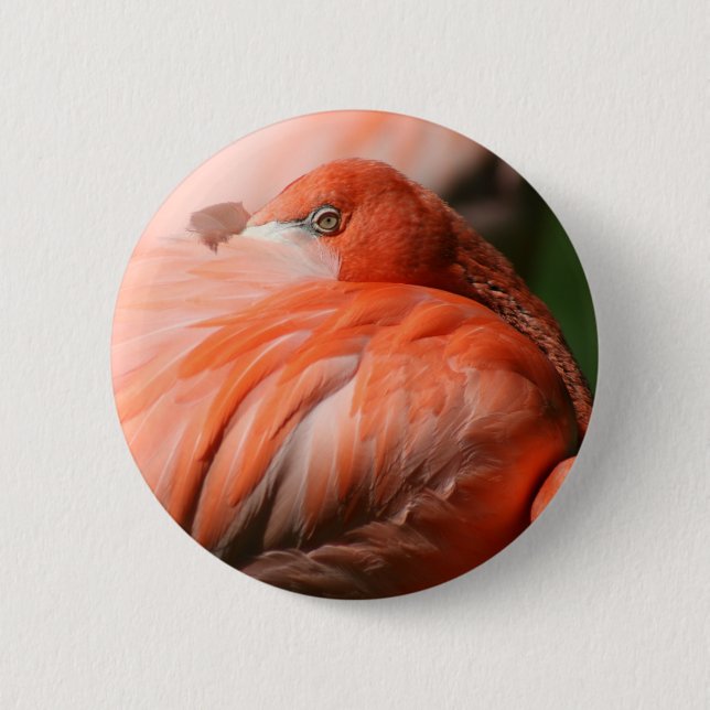 Bóton Redondo 5.08cm Flamingo Button (Frente)