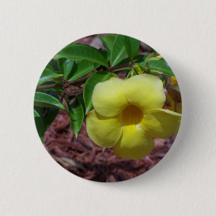 Bóton Redondo 5.08cm Flor Alamanda amarela