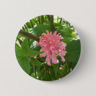 Bóton Redondo 5.08cm Flor brasileira da pena