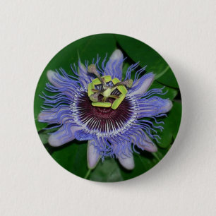 Bóton Redondo 5.08cm Flor da paixão do caerulea do Passiflora da flor