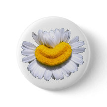 Flor de Camomila Radiante Feliz Sorriso