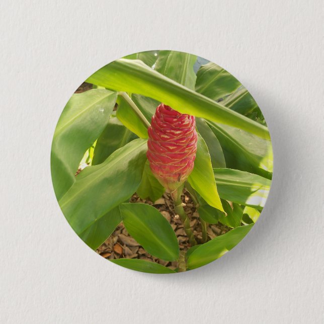 Bóton Redondo 5.08cm Flor de gengibre xampu (Frente)