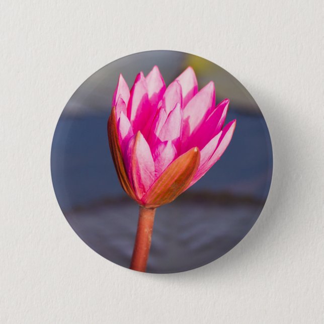 Bóton Redondo 5.08cm Flor de Lotus (Frente)