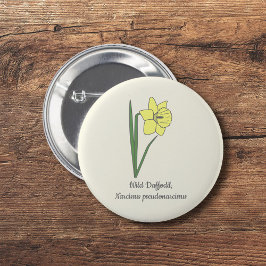 Bóton Redondo 5.08cm Flor de Pastel de Daffodil Botânico