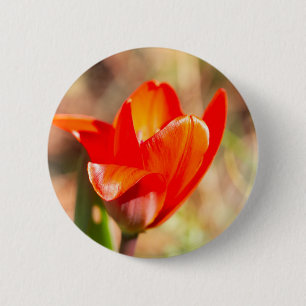 Bóton Redondo 5.08cm Flor de Tulipas Vermelhas
